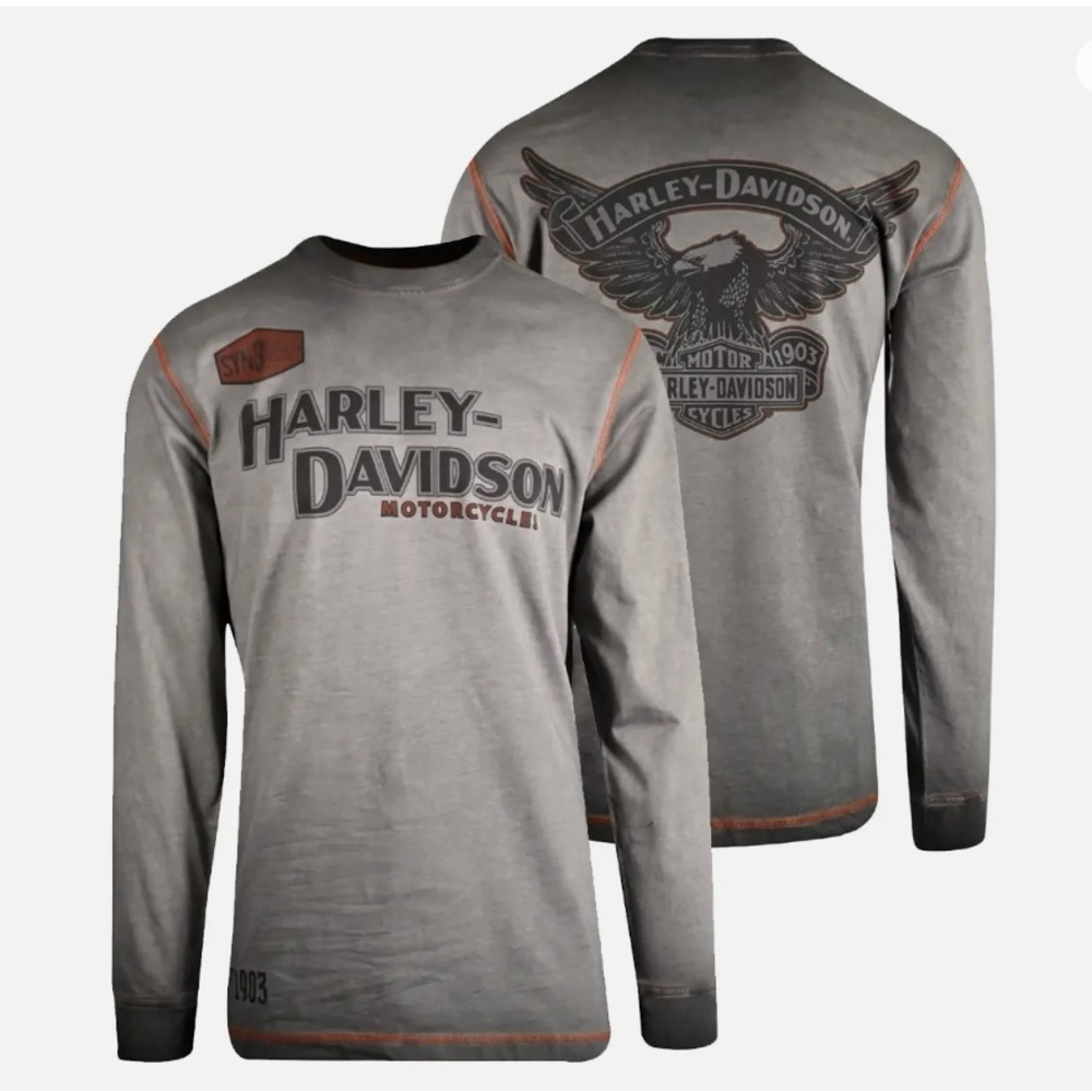 Harley-Davidson Men's T-Shirt Grey Distressed Iron Block Long Sleeve. SIZE L